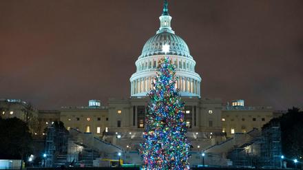 Der Weihnachtsbaum am US-Kapitol