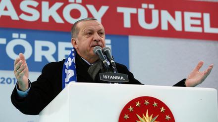 Präsident Recep Tayyip Erdogan geht scharf gegen Kritiker seiner Offensive in Nordsyrien vor.