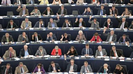 Entscheidung in Straßburg. Das Europaparlament will die Zahlungsfähigkeit der EU-Kommission sichern.