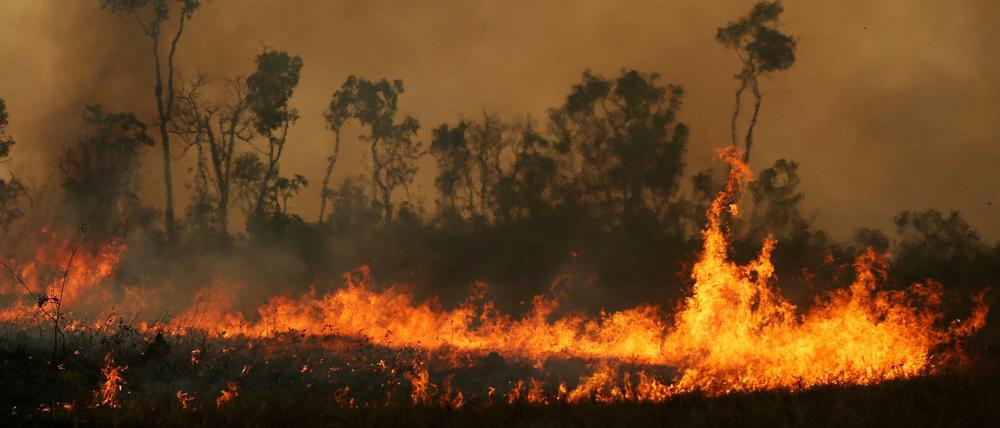 Der Regenwald im Amazonas brennt. Meist sind die Feuer gelegt.