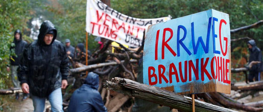 Aktivisten bauen eine Barrikade im Hambacher Forst.