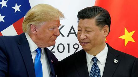 Haben ein angespanntes Verhältnis: US-Präsident Donald Trump (l) und Chinas Staatschef Xi Jinping (Archivbild)