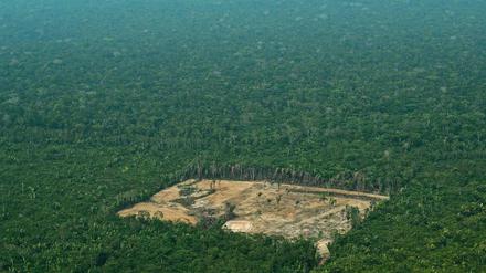 Ein Luftbild dokumentiert Abholzungen im Regenwald in Brasilien. 