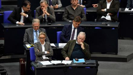 Die Fraktion der AfD im Bundestag.