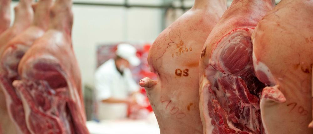 Schweinehälften werden einer Großfleischerei verarbeitet.