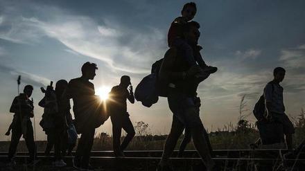 Migranten und Flüchtlinge gehen an der Grenze zwischen Ungarn und Serbien bei Roszke, Ungarn, im Sommer 2015.