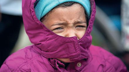 Ein Flüchtlingskind weint auf dem Gelände des Landesamtes für Gesundheit und Soziales (LaGeSo) in Berlin. 