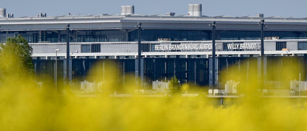 Das Hauptterminal des neuen Hauptstadtflughafens BER mit dem Schriftzug "Berlin Brandenburg Airport Willy Brandt" in Schönefeld scheint zwischen blühendem Raps auf einem Feld neben der südlichen Startbahn zu versinken.
