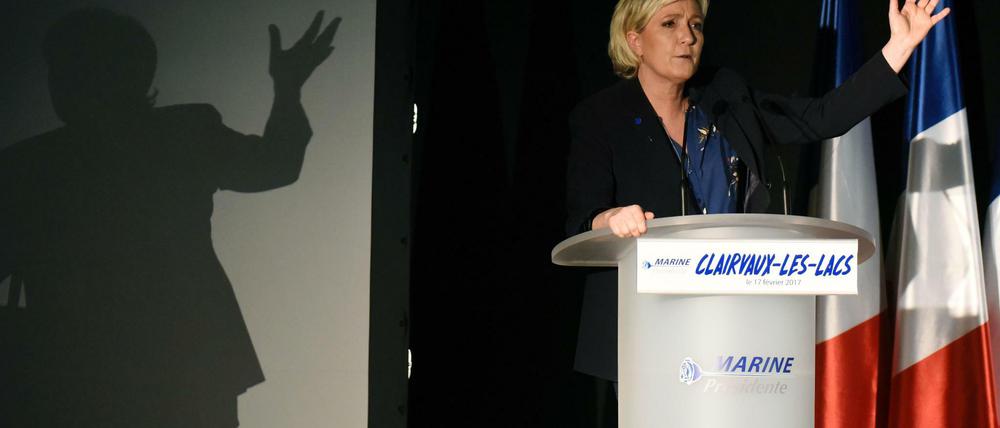 Marine Le Pen wird als Präsidentschaftskandidatin für den Front National antreten.