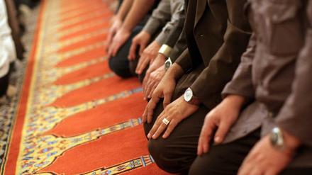 Gläubige Muslime beten im Gebetsraum eine Moschee.