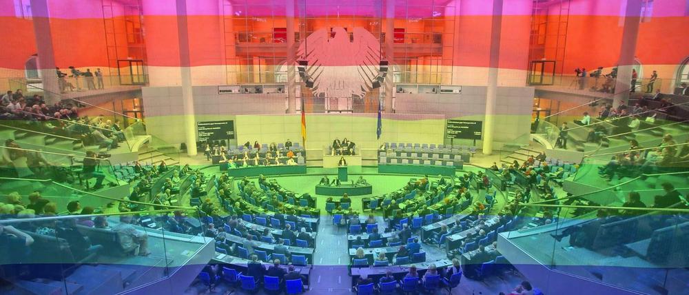 Diversity im Bundestag. Belange von Schwulen und Lesben spielen in der Politik eine immer größere Rolle.