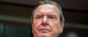 Der ehemalige Bundeskanzler Schröder gilt als Freund des russischen Präsidenten Putin. 