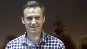 Die Haftbedingungen von Alexej Nawalny geben aus Sicht des Europarates Anlass zu Sorge (Archivbild).