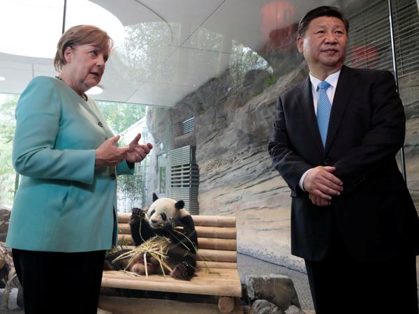 Kanzlerin Angela Merkel und Chinas Staatschef Xi Jinping bei einem Besuch im Berliner Zoo 2017.