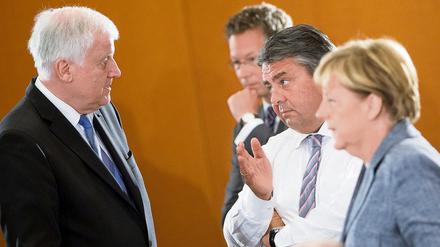 Nicht immer einer Meinung: Horst Seehofer (links) und Sigmar Gabriel, hier mit Angela Merkel im Kanzleramt.