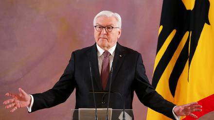 Hier stehe ich und will nicht anders: Bundespräsident Frank-Walter Steinmeier bei seiner Erklärung am Freitag.