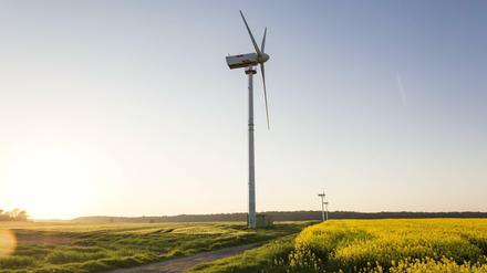 Zumindest hier wir nachhaltig Energie erzeugt. Windräder am Kap Arkona auf Rügen.
