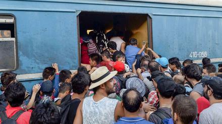 Flüchtlinge am Bahnhof der griechisch-mazedonischen Grenzstadt Gevgelija. Viele von ihnen wollen nach Deutschland.