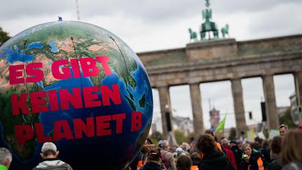 Harald Martenstein glaubt nicht, dass das deutsche Klimapaket viel zur Klimarettung beitragen wird. 