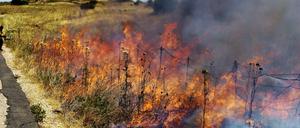 Soldat im Hintergrund mit Flammenwerfer, im Vordergrund brennende Gräser und Büsche