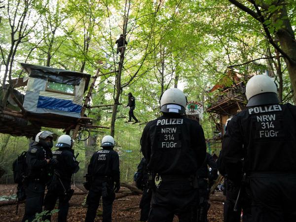 Polizisten stehen im Hambacher Forst unter Baumhäusern. 