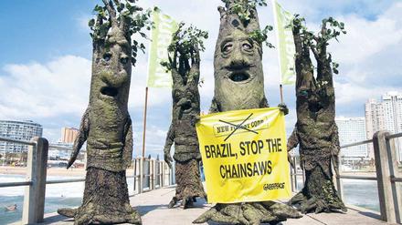 In Durban gab es Proteste gegen das geplante neue Waldgesetz in Brasilien. 