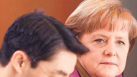 Derzeit nicht ganz spannungsfrei. Bundeskanzlerin Angela Merkel und Wirtschaftsminister Philipp Rösler. Foto: Michael Kappeler/dpa