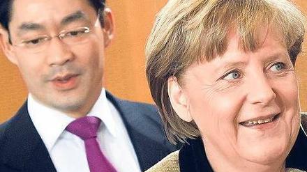 Bitte recht freundlich. CDU-Chefin Angela Merkel und FDP-Chef Philipp Rösler gaben sich am Sonntagabend beim Koalitionsausschuss alle Mühe, Harmonie auszustrahlen. Nach der Arbeit gab es sogar noch ein Glas Rotwein. Foto: Clemens Bilan/dapd