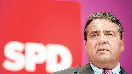 SPD-Parteivorsitzender Sigmar Gabriel gibt zu, dass es „zwischen den Verwandten“ auch Streit gibt.