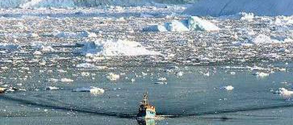 Reich dank Klimawandel. Weil die Gletscher Grönlands, im Bild der Ilulissat-Gletscher, schmelzen, könnten bald Bodenschätze gefördert werden. 