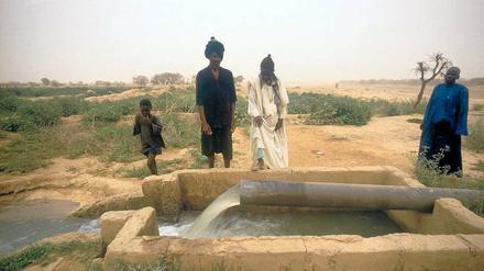 Ein Brunnenbau im Senegal. Unzählige Entwicklungsinitiativen bohren Brunnen oder bauen Schulhäuser. Doch nicht immer hilft diese Art von Unterstützung auch den Menschen vor Ort. 
