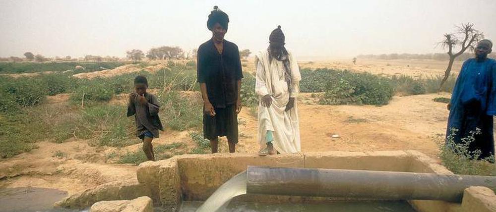 Ein Brunnenbau im Senegal. Unzählige Entwicklungsinitiativen bohren Brunnen oder bauen Schulhäuser. Doch nicht immer hilft diese Art von Unterstützung auch den Menschen vor Ort. 