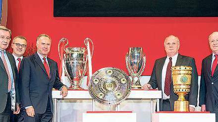 Erfolgsverwöhnt ist der FC Bayern München wie kein anderer deutscher Verein (hier bei der Hauptversammlung 2013). Von dem Image will die Wirtschaft profitieren. 