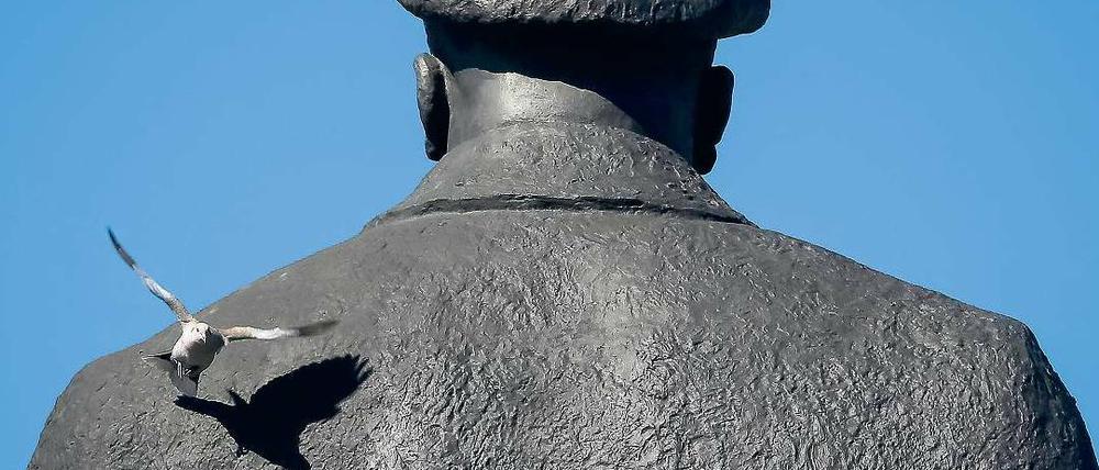 Eine Taube und ein Revolutionsführer. Die Leninstatue in Slowjansk hat die Wirren in der Ukraine überlebt. 