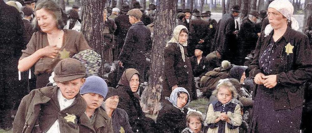 Im Vorhof der Hölle: Die Brüder von Irene Weiss, Reuven (links) und Gershon Fogel (2. von links), und hinter ihnen sitzend ihre Mutter Leah am Tag ihrer Ankunft in Auschwitz-Birkenau. Wenig später wurden all diese Menschen in den Gaskammern ermordet. 