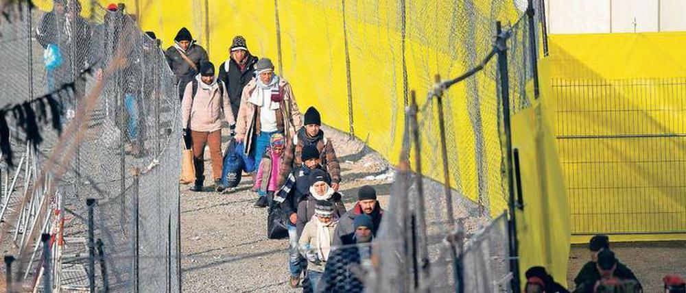 Eingegrenzt. Tausende Flüchtlinge kamen in den vergangenen Monaten über die österreichisch-slowenische Grenze.