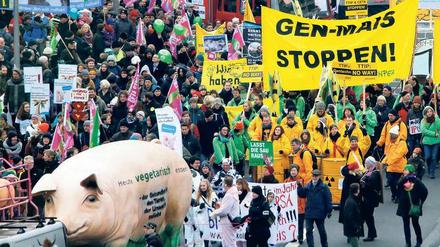 Die Angst der Landwirte. Bauern und Konsumenten protestierten im Januar in Berlin gegen TTIP. 