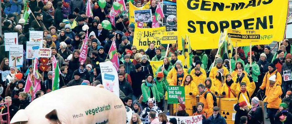 Die Angst der Landwirte. Bauern und Konsumenten protestierten im Januar in Berlin gegen TTIP. 