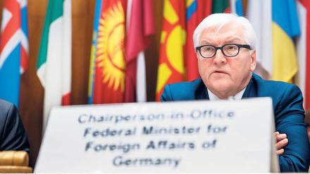 Außenminister Frank-Walter Steinmeier hat derzeit den Vorsitz in der OSZE. 