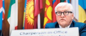 Außenminister Frank-Walter Steinmeier hat derzeit den Vorsitz in der OSZE. 