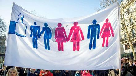 Die Homo-Ehe spaltet Europa. In Paris gehen diese Demonstranten für die Rechte von Schwulen und Lesben auf die Straße.