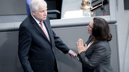 Horst Seehofer (CSU) und Andrea Nahles (SPD, Archivfoto) sind auch in der Causa Maaßen weiterhin im Gespräch. 