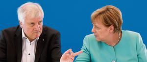 Uneins: Bayerns Ministerpräsident Horst Seehofer (CSU) und Kanzlerin Angela Merkel (CDU)