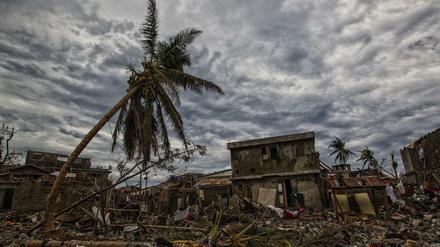 Ein Ort der Verwüstung: Jérémie im Südwesten Haitis nach dem Sturm. Hier war "Matthew" mit bis zu 230 Stundenkilometern über das Land gefegt.