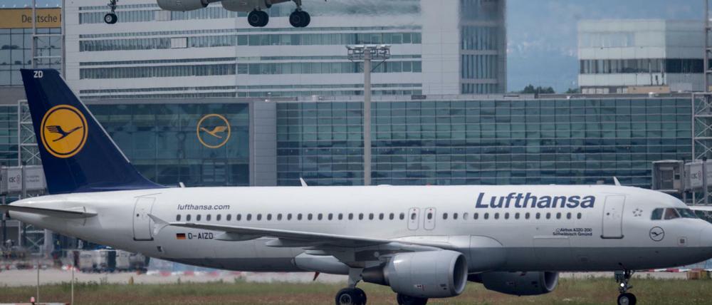 Eine Passagiermaschine der Lufthansa landet auf diesem Archivfoto auf dem Flughafen in Frankfurt am Main. 