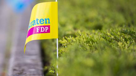 Halten die Fahne für die Ampel-Koalition hoch: die Liberalen in Friedrichshain-Kreuzberg