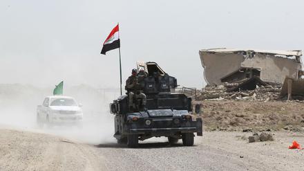 Irakische Truppen auf dem Weg nach Falludscha 