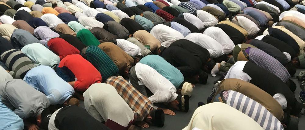 Und sie beten auch ganz anders - Muslime in Deutschland.