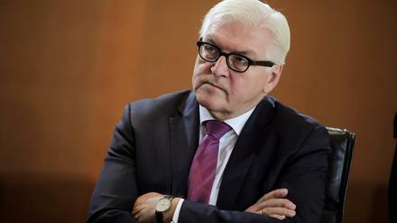 Außenminister Frank-Walter Steinmeier (SPD) wäre nach Ansicht Thomas Oppermanns ein hervorragender Bundespräsident. 