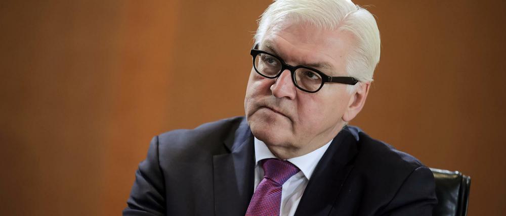 Außenminister Frank-Walter Steinmeier (SPD) wäre nach Ansicht Thomas Oppermanns ein hervorragender Bundespräsident. 